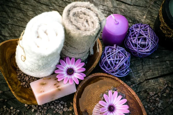 Violeta dayspa naturaleza conjunto — Foto de Stock