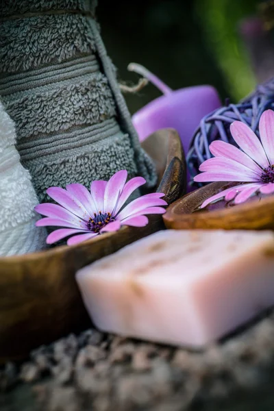 Violeta dayspa natureza conjunto — Fotografia de Stock