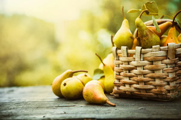 Herbstbirnen — Stockfoto