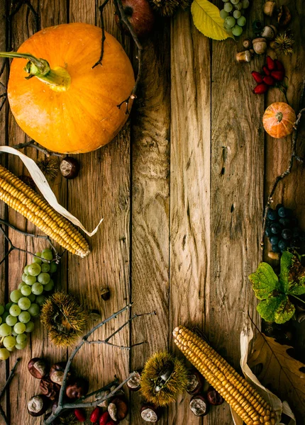 Herfst achtergrond — Stockfoto