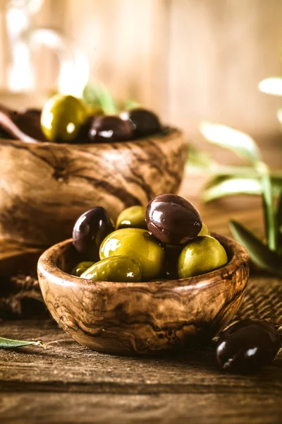 Oliven am Zweig — Stockfoto