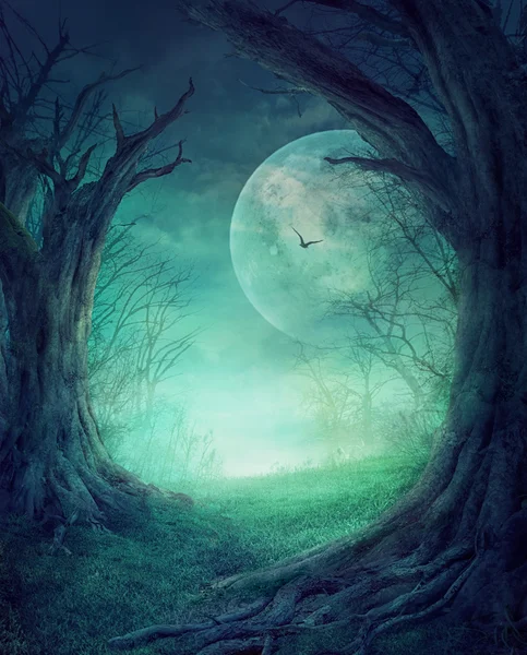 Halloween Spooky Forest — Fotografie, imagine de stoc