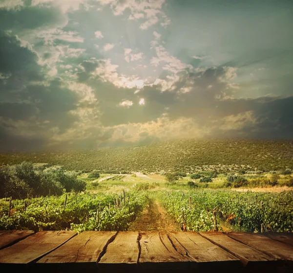 Hintergrund Weinberg — Stockfoto