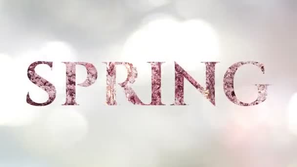 Animerade Ordet Våren Med Parad Vita Och Rosa Blommor Glänsande — Stockvideo
