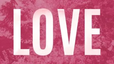 Pembe arka planda şeffaf bir kelime olan aşk, filizlenen çalıların animasyon filigran halidir. Taze animasyon kusursuz, e-kart, kutlama, başlık için...