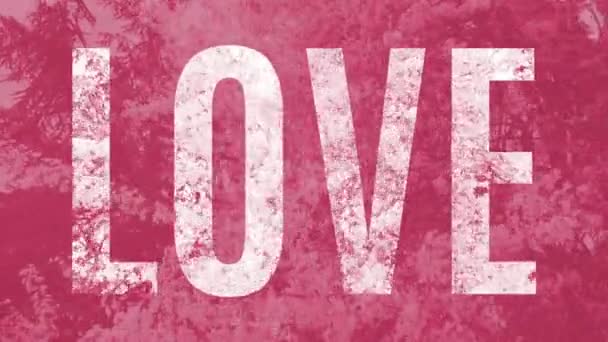 Clear Word Love Pink Background Animation Full Bushes Blooming Flowers — Stock Video