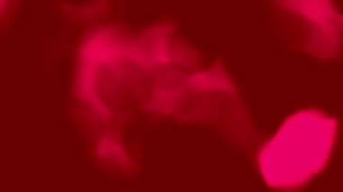 Kan plazması gibi akan küre ve hücrelerle yapılan animasyon. Kusursuz döngü - arkaplan ya da illüstrasyon için arka plan aydınlatıcı soyut sıvı dizisi.