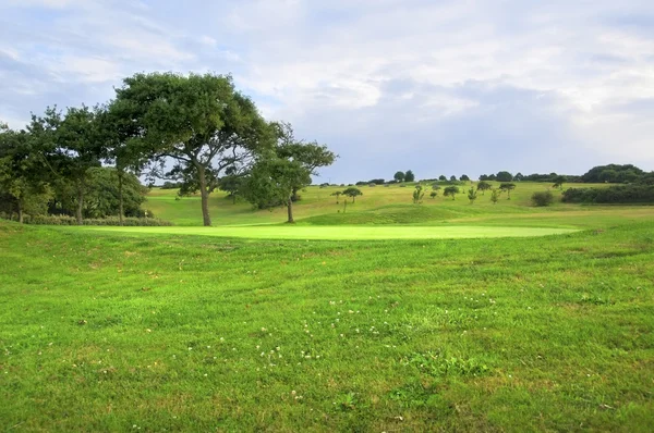 Paisaje de un campo de golf, un verde, árboles y colinas —  Fotos de Stock