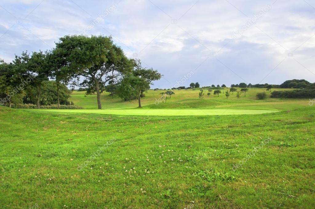 Landscape of a golf course, a green, trees and hills