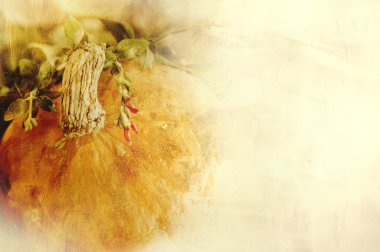 arka plan dokusu ile bir kabak ve otlar - natürmort kompozisyon - mevsimlik sebze sonbahar