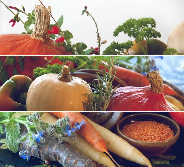 Kürbisse, Karotten, Samen, Butternusskürbis und Kräuter - Stilleben-Komposition mit Herbstgemüse der Saison — Stockfoto