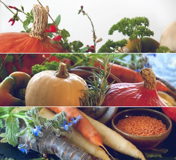 Pumpor, morötter, frön, butternut squash och örter - stilleben sammansättning med säsongens grönsaker hösten — Stockfoto