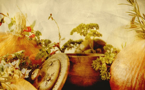 Background texture with pumpkins, carrots, seeds, butternut squash and herbs - Still life composition with seasonal vegetables of autumn — Stock Image Background texture with pumpkins, carrots, seeds, butternut squash and herbs - Still life composition with seasonal vegetables of autumn Royalty Free Stock Photos