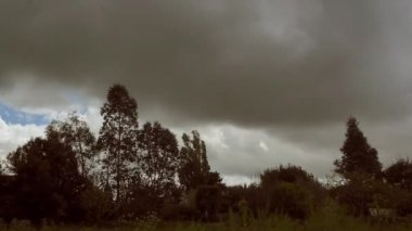 Timelapse kalın bulutlar üzerinde çeşitli ağaçlar ve bir çayır, dramatik sahne - Full Hd ile