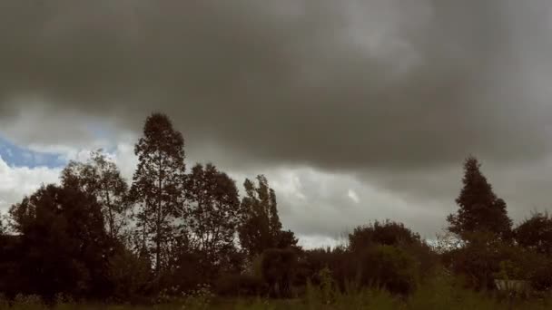 Timelapse kalın bulutlar üzerinde çeşitli ağaçlar ve bir çayır, dramatik sahne - Full Hd ile — Stok video