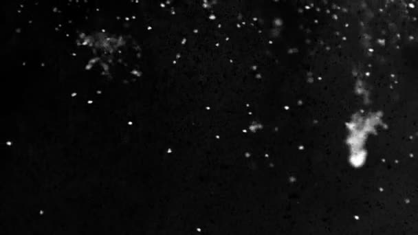 Flytende hvite og svarte partikler - abstrakt animasjon på svart bakgrunn - hel hd. – stockvideo
