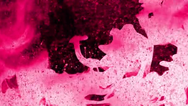 Pinkfarbene Tinte, die Volten wie Rauch und rosa Partikel erzeugt, die sich auf schwarzem Hintergrund bewegen - voller HD — Stockvideo