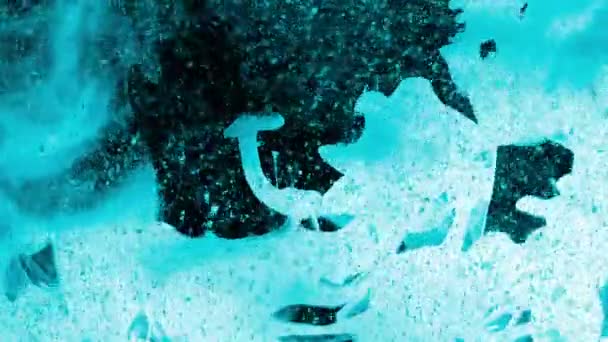 Inchiostro bianco bluastro che crea volute come fumo e particelle blu che si muovono su uno sfondo nero - full hd — Video Stock