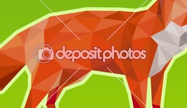 Düşük Poli illüstrasyon kırmızı tilki parçası - arka plan bulanık - 4 k Beyaz dönüm yeşil arka plan üzerinde animasyon