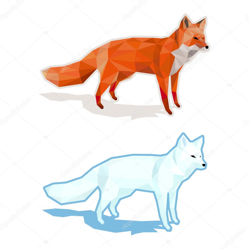 Red and white foxes isolated on white with shadow - low poly vector
