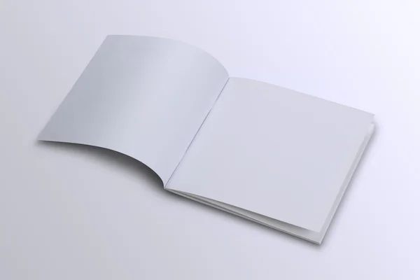 Open White Blank Brochure Copertina per caricatore per finto — Foto Stock