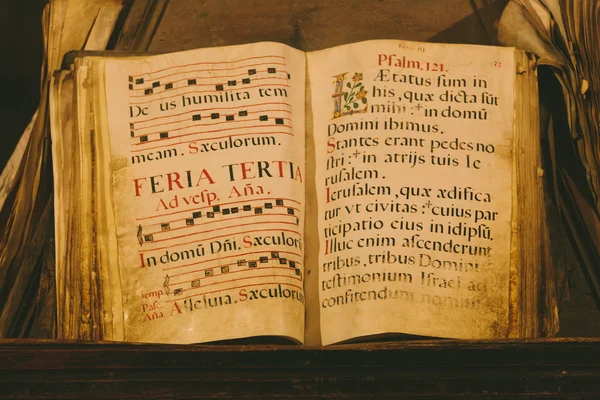 Altes mittelalterliches Buch — Stockfoto