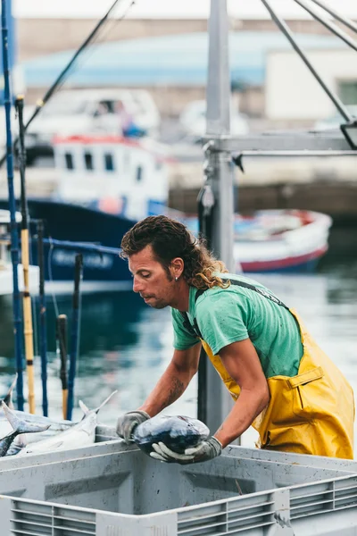 Pescadores descargando capturas en el puerto — Foto de Stock