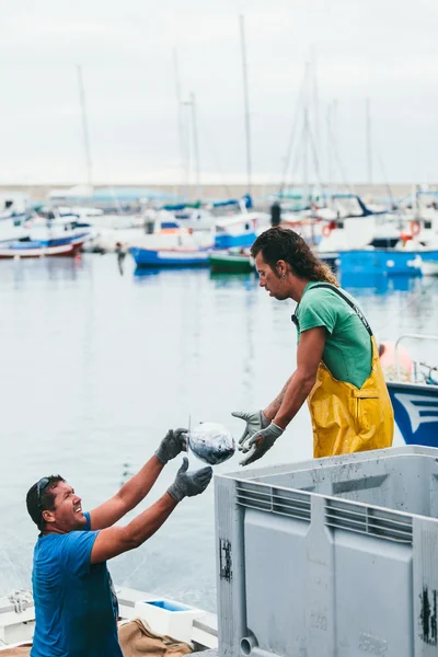 Pescadores que descarregam capturas no porto — Fotografia de Stock