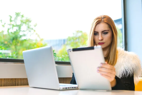 Mulher de negócios bonita que trabalha em uma cafetaria Imagens De Bancos De Imagens