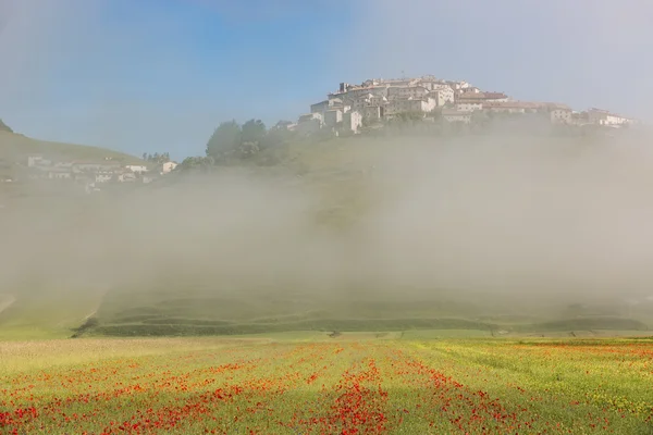 Castelluccio mit Mohnfeldern im Morgennebel, Umbrien, Italien lizenzfreie Stockbilder
