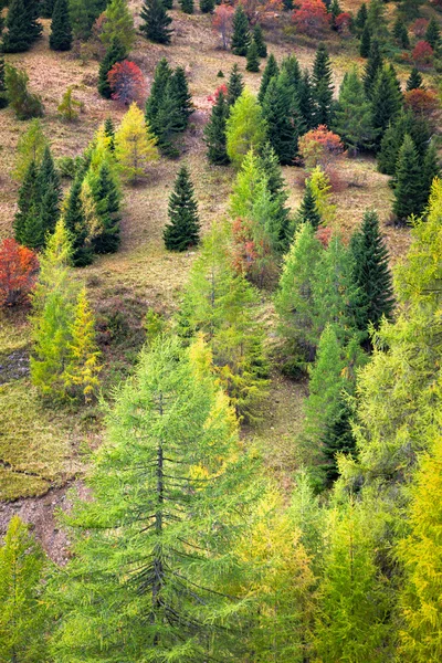 Cores do outono em Lombardia, Italia — Fotografia de Stock