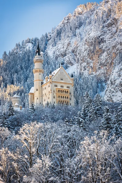 Kışlık peyzaj Neuschwanstein Şatosu. Almanya