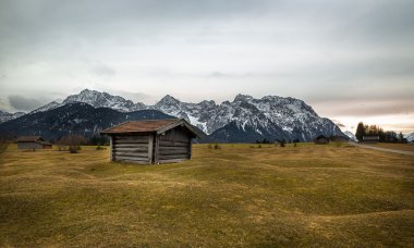 Ahırda Alps yakınındaki Krun, Buckelwiesen, Almanya