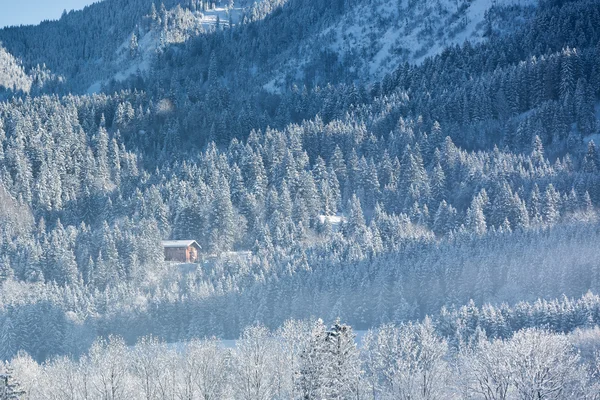 Alpine hut kışlık orman, Bavyera, Almanya — Stok fotoğraf