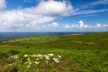 Cornish sahil arasında Lands End ve St. Ives, Cornwall, İngiltere