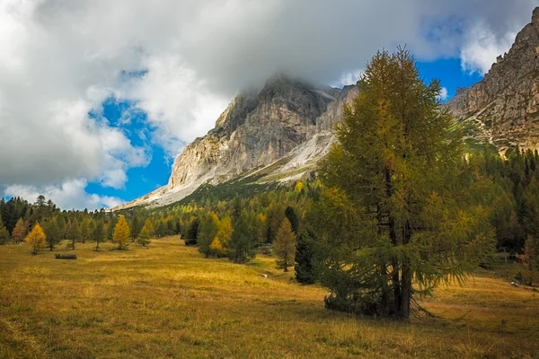 Lanskap di musim gugur di Passo Falzarego, Dolomites, Alpen Italia — Stok Foto