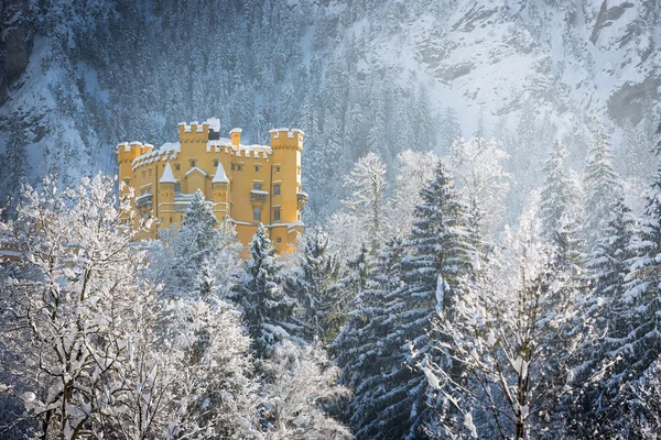 Замок Хоэншвангау в зимнем пейзаже, Германия — стоковое фото