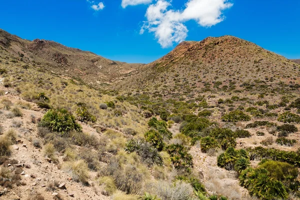 カボ ・ デル ・ ガタ、アルメリア、スペインの近くの砂漠 — ストック写真