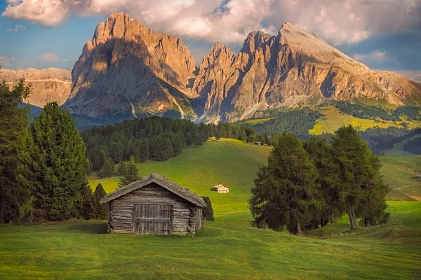 Seiser Alm con el grupo Langkofel, Tirol del Sur, Dolomitas, Italia —  Fotos de Stock