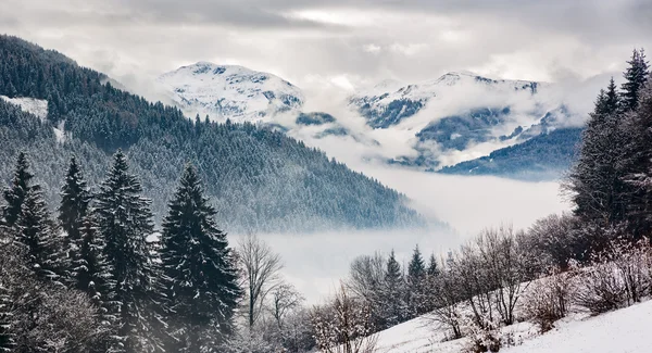 Bir kış günü, Tyrol, Avusturya Alplerinde Zillertal
