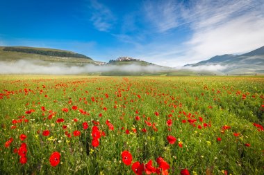 Fioritura piyano Grande sabah sis, Umbria, İtalya