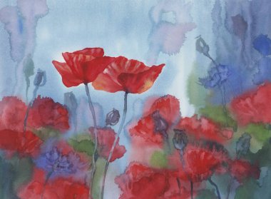 Çimen suluboya arka planlı kırmızı haşhaş tarlası