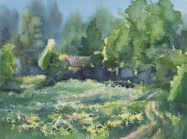 Paisagem de verão com um fundo aquarela prado e floresta — Fotografia de Stock