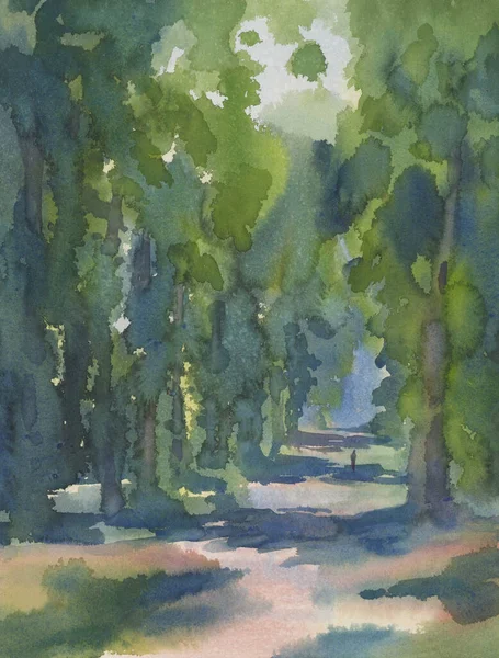 Oude bomen parkway in de zomer aquarel achtergrond — Stockfoto