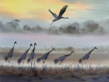 Sis içindeki suluboya arazide turnalar. Kuş çizimi