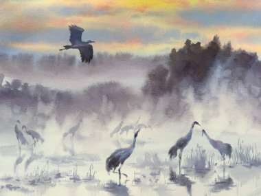 Sis içindeki suluboya arazide turnalar. Kuş çizimi