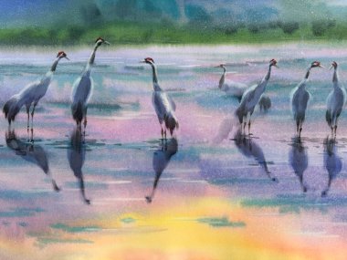 Sis içindeki suluboya arazide turnalar. Kuş çizimi