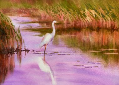 Akşamları açık pembe suluboya manzaralı beyaz balıkçıl. Kuş çizimi