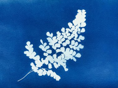 Mavi renkli arka planda ağaç yaprakları. Siyanotip illüstrasyon. Sonbahar süsü