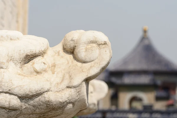 Dragon head carving — Stock Photo, Image